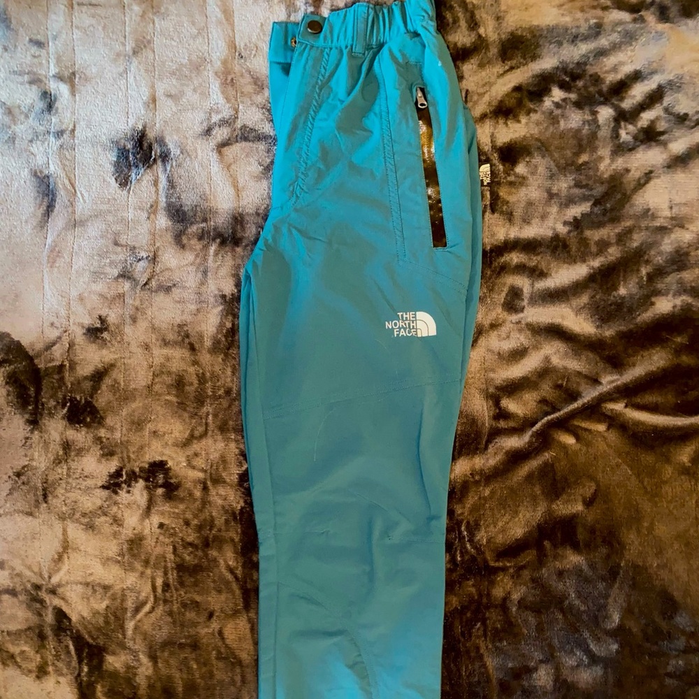 The North Face summit series mountain pants/snow pants